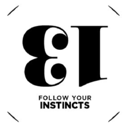 13 FOLLOW YOUR INSTINCTS Logo (EUIPO, 15.08.2013)