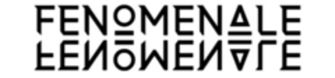FENOMENALE Logo (EUIPO, 07.11.2017)