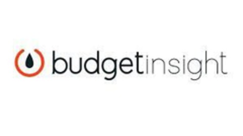 budgetinsight Logo (EUIPO, 15.09.2021)
