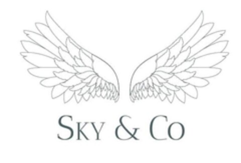 SKY & Co Logo (EUIPO, 12/29/2021)