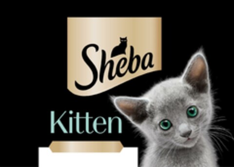 Sheba Kitten Logo (EUIPO, 20.07.2023)