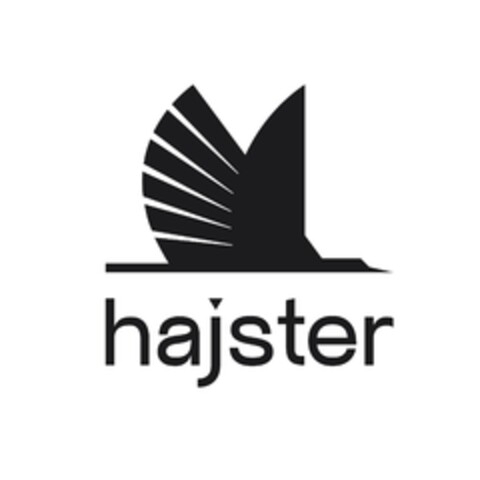 hajster Logo (EUIPO, 30.10.2023)