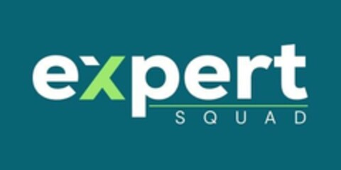 Expert Squad Logo (EUIPO, 22.03.2024)