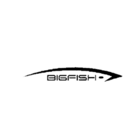 BIGFISH - Logo (EUIPO, 10.02.2006)