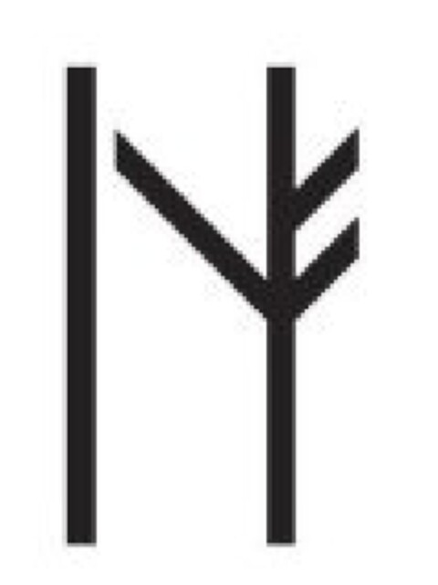 N Logo (EUIPO, 15.01.2010)