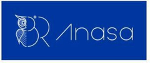 B+R Anasa Logo (EUIPO, 25.06.2018)