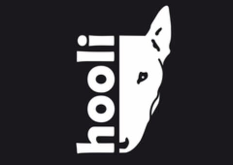 hooli Logo (EUIPO, 06.02.2014)