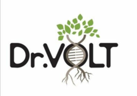 DR.VOLT Logo (EUIPO, 16.03.2020)