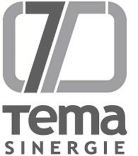 TEMA SINERGIE Logo (EUIPO, 03/20/2007)