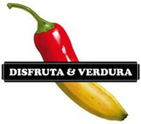 DISFRUTA & VERDURA Logo (EUIPO, 25.11.2008)