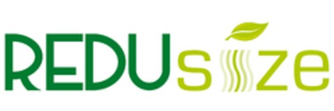 REDUSIZE Logo (EUIPO, 09/02/2010)