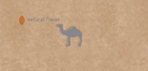 natural flavor Logo (EUIPO, 10/07/2010)