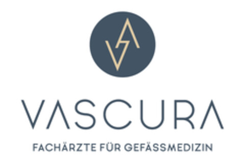 VASCURA FACHÄRZTE FÜR GEFÄSSMEDIZIN Logo (EUIPO, 02/07/2020)