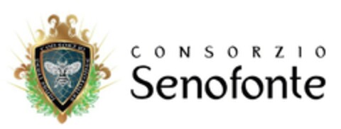 Consorzio Senofonte Consorzio degli studi Senofonte Logo (EUIPO, 14.09.2020)