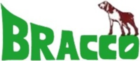 Bracco Logo (EUIPO, 02.02.2022)