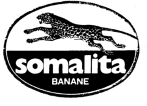 somalita BANANE Logo (EUIPO, 14.04.1997)