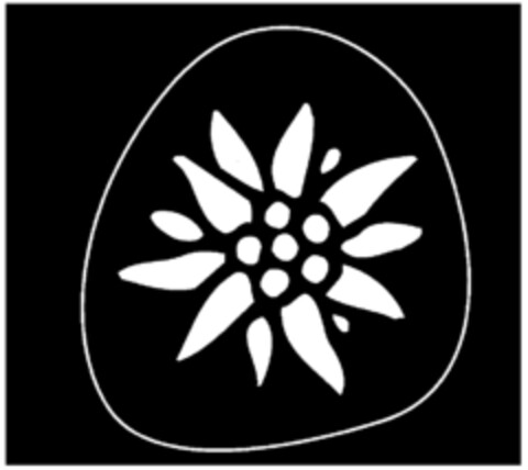  Logo (EUIPO, 08.02.2002)
