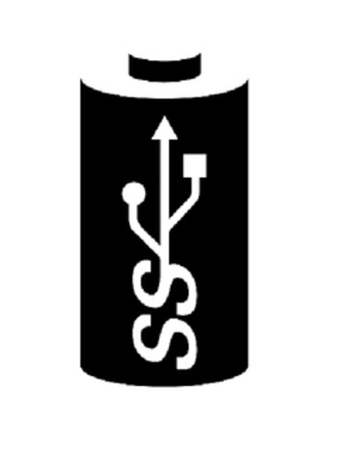 SS Logo (EUIPO, 11/19/2013)