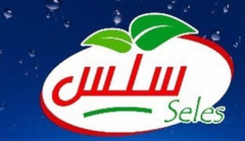 SELES Logo (EUIPO, 29.09.2017)