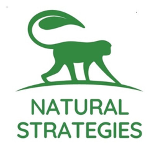 NATURAL STRATEGIES Logo (EUIPO, 14.12.2018)