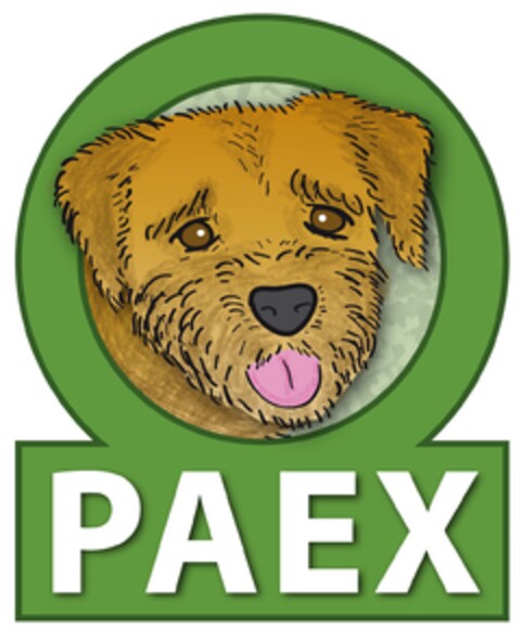 PAEX Logo (EUIPO, 28.01.2019)