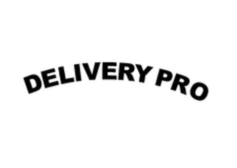 DELIVERY PRO Logo (EUIPO, 16.01.2024)
