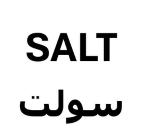 SALT Logo (EUIPO, 22.05.2024)