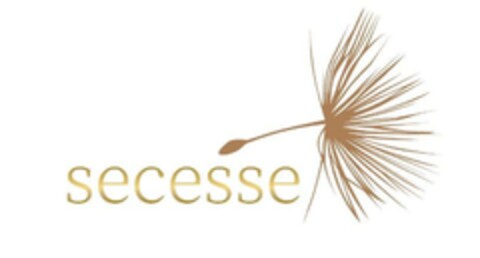 secesse Logo (EUIPO, 08/26/2024)