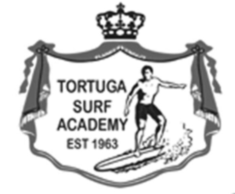 TORTUGA SURF ACADEMY EST 1963 Logo (EUIPO, 09.07.2008)
