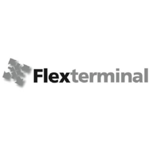 FLEXTERMINAL Logo (EUIPO, 12.04.2013)