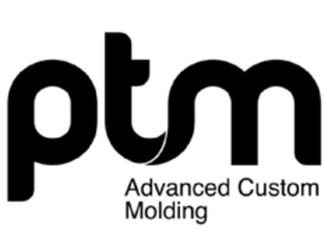 PTM ADVANCED CUSTOM  MOLDING Logo (EUIPO, 26.06.2013)