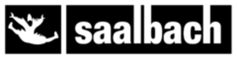 SAALBACH Logo (EUIPO, 06/18/2015)