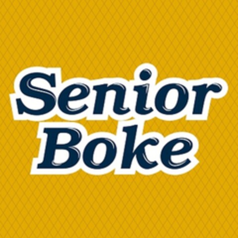 SENIOR BOKE Logo (EUIPO, 11/21/2017)