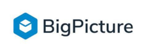 BigPicture Logo (EUIPO, 12/09/2021)