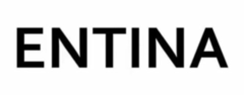 ENTINA Logo (EUIPO, 06.01.2022)