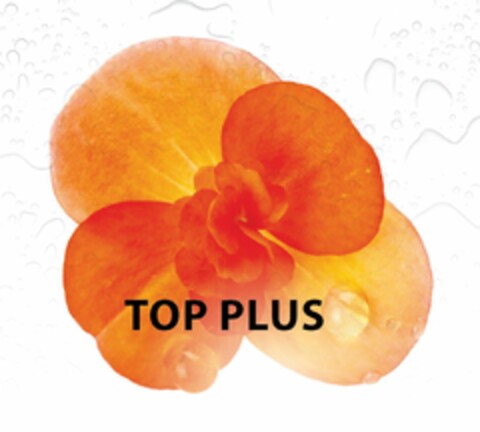 TOP PLUS Logo (EUIPO, 22.06.2022)