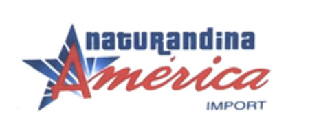 naturandina América IMPORT Logo (EUIPO, 04/05/2004)