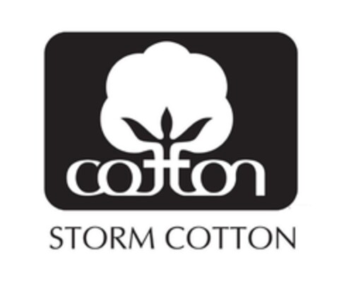 COTTON STORM COTTON Logo (EUIPO, 03.06.2011)