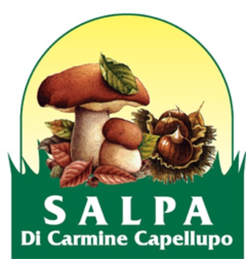 SALPA DI CARMINE CAPELLUPO Logo (EUIPO, 10.02.2016)