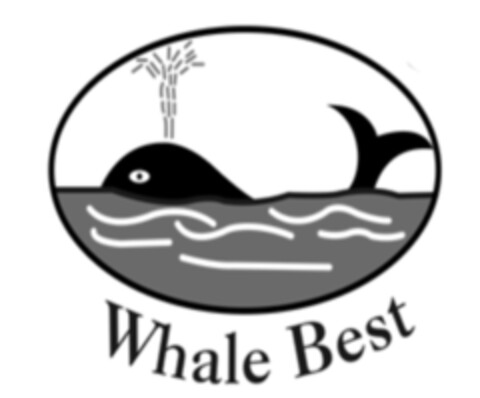 Whale Best Logo (EUIPO, 17.03.2021)