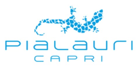 PIALAURI CAPRI Logo (EUIPO, 17.05.2024)