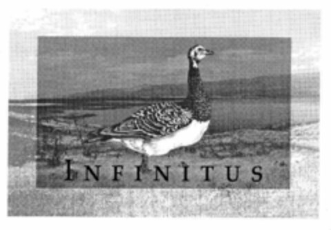 INFINITUS Logo (EUIPO, 16.05.2000)