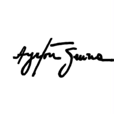 Ayrton Senna Logo (EUIPO, 18.06.2008)