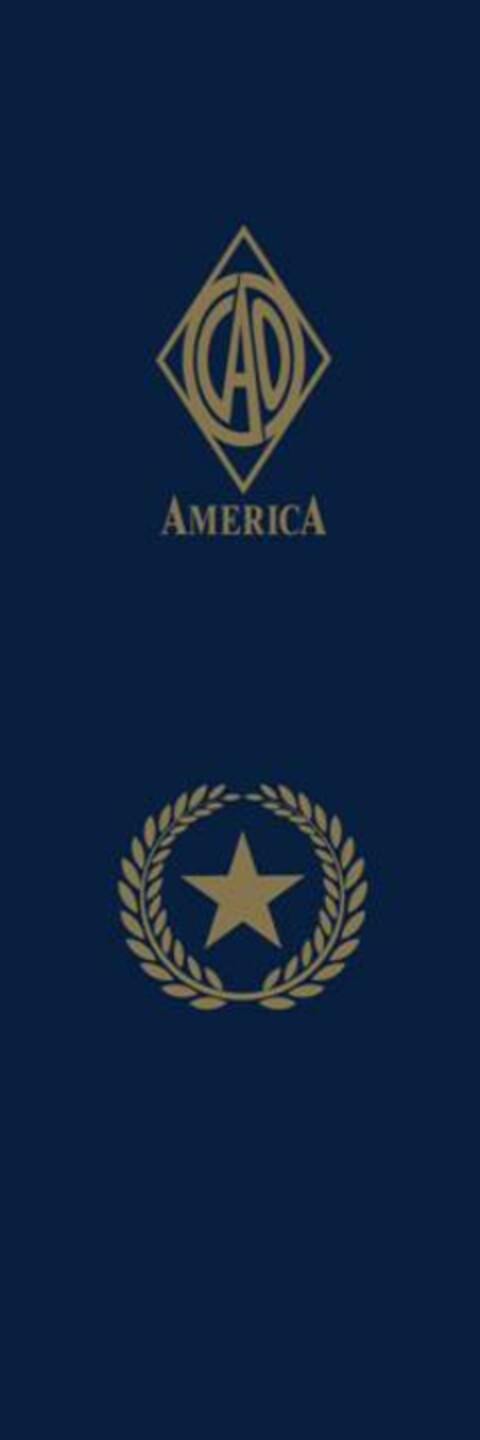 AMERICA Logo (EUIPO, 15.03.2016)