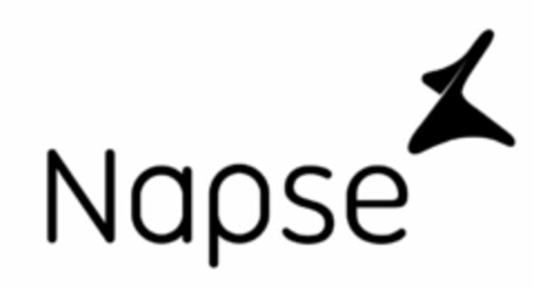 Napse Logo (EUIPO, 30.07.2018)