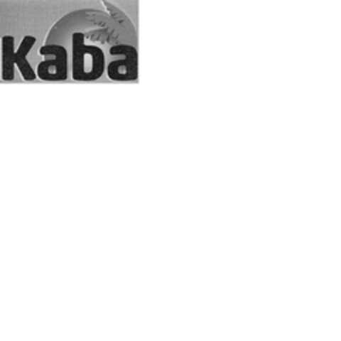 Kaba Logo (EUIPO, 01/03/2024)