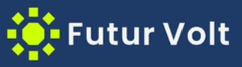 FUTUR VOLT Logo (EUIPO, 10.01.2024)