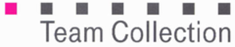 Team Collection Logo (EUIPO, 28.07.2000)