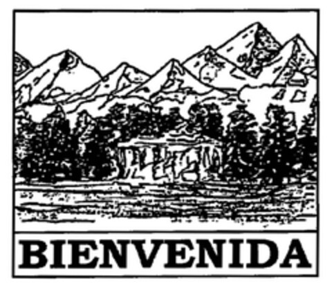 BIENVENIDA Logo (EUIPO, 07.06.2005)