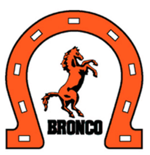 BRONCO Logo (EUIPO, 09.11.2007)